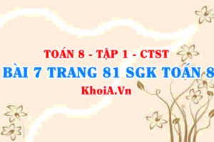 Bài 7 trang 81 SGK Toán 8 Tập 1 Chân trời sáng tạo
